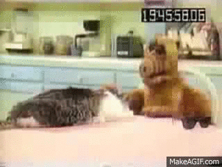 QWZGjd