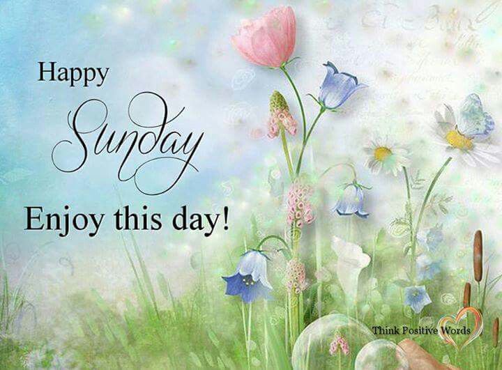 258089-Happy-Sunday-Enjoy-This-Day-