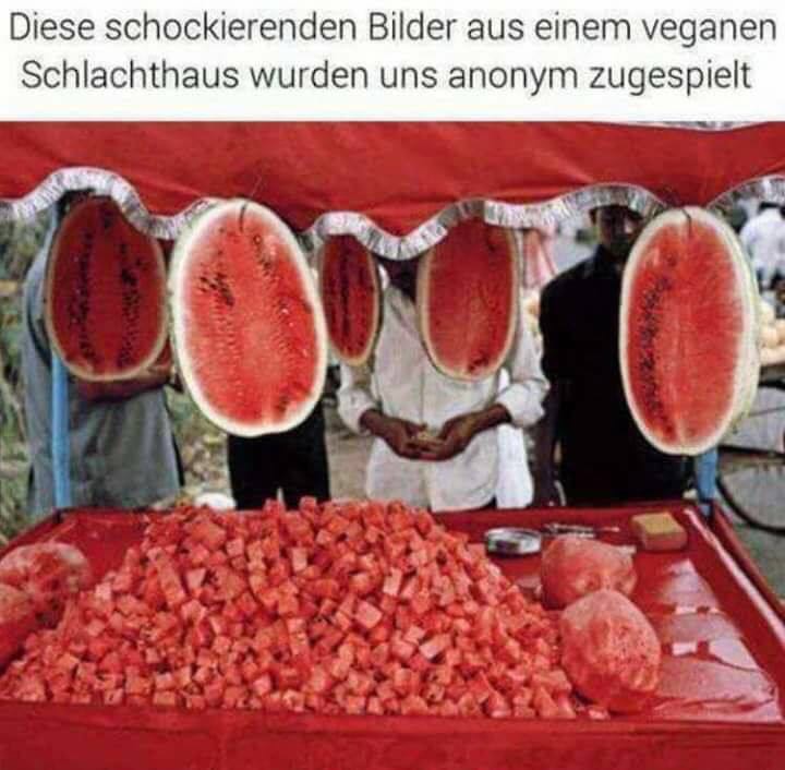 Melonenschlachtfest - Kopie