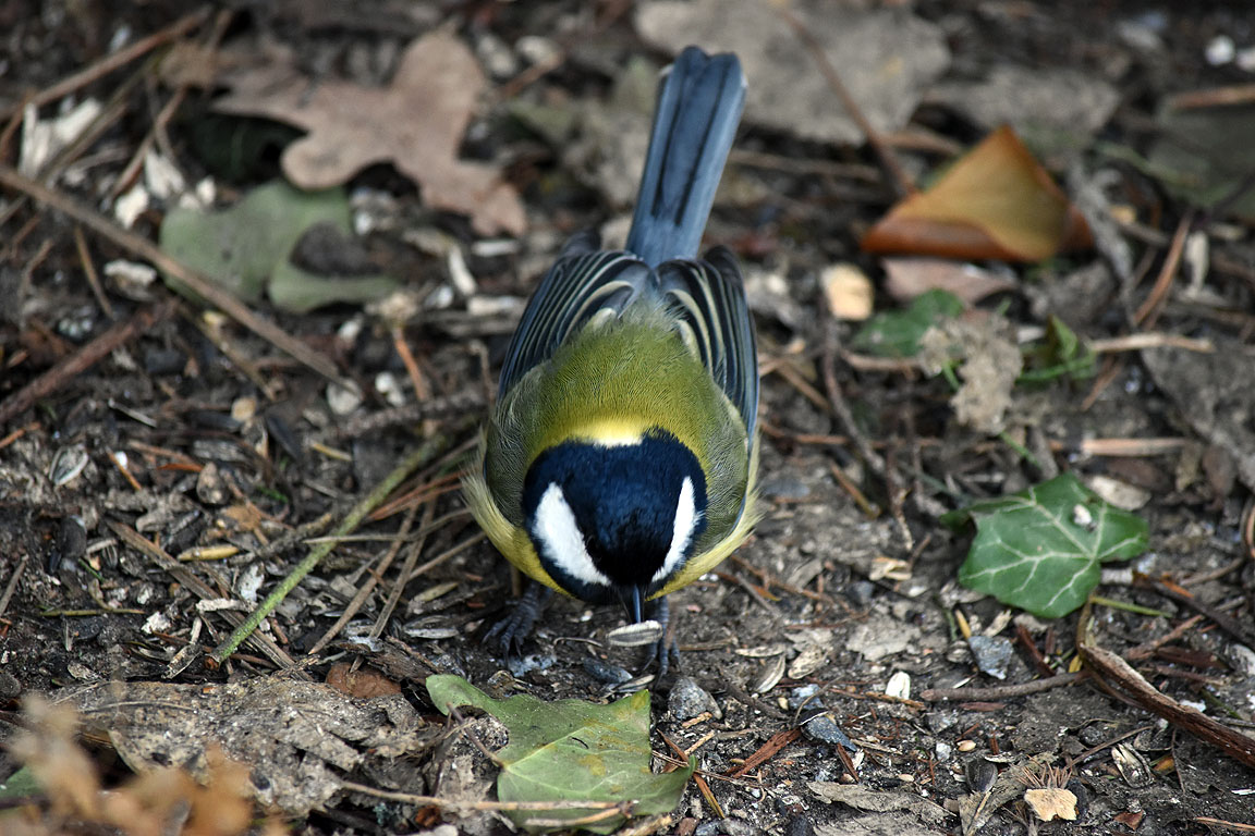 0ce09f41-7b67-4e9f-8a99-a7e87991aa6a