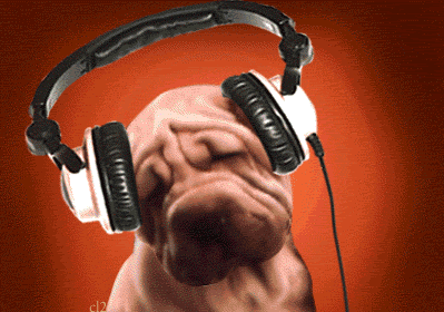 animals-dog-music-animated-funny-picture