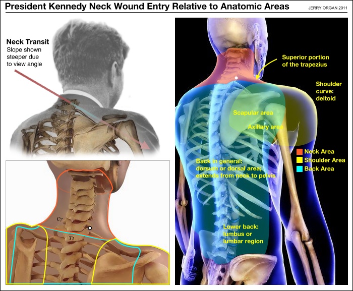 neckentryanatomicsites