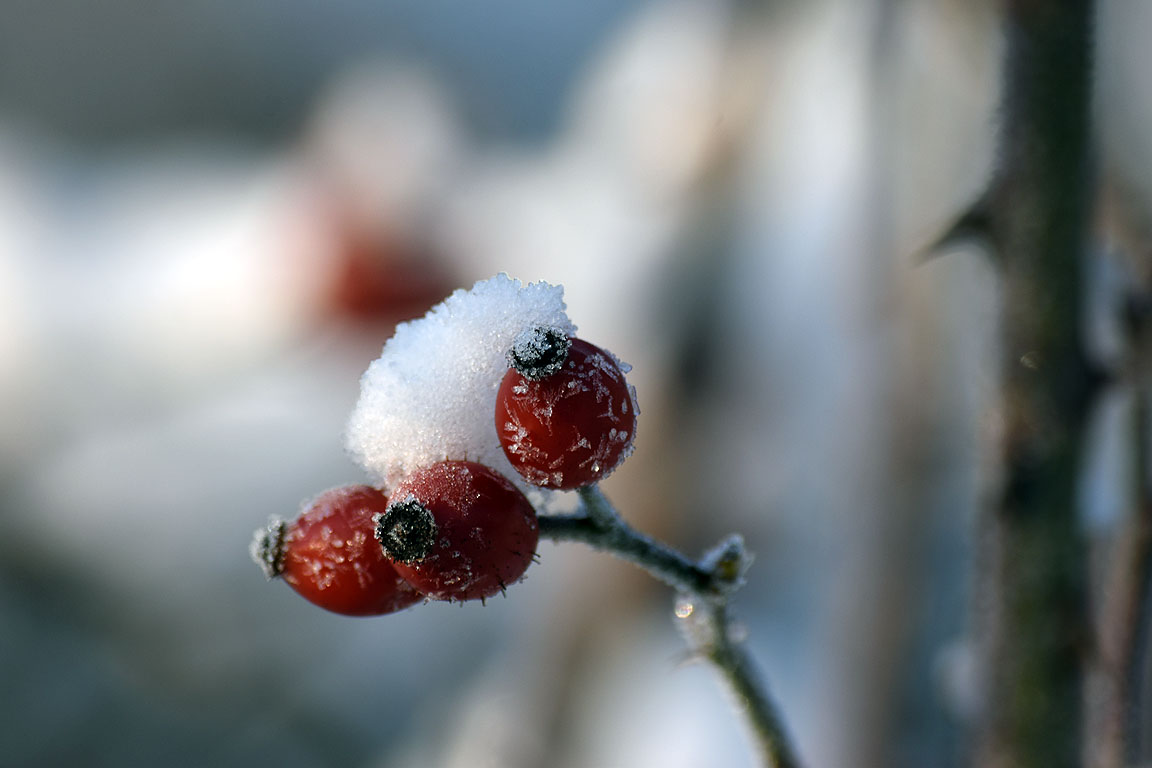 f8f8ce64-b414-4464-a3d9-f9c4e495fa24