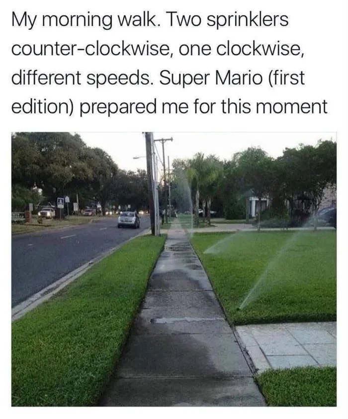 1000036181
