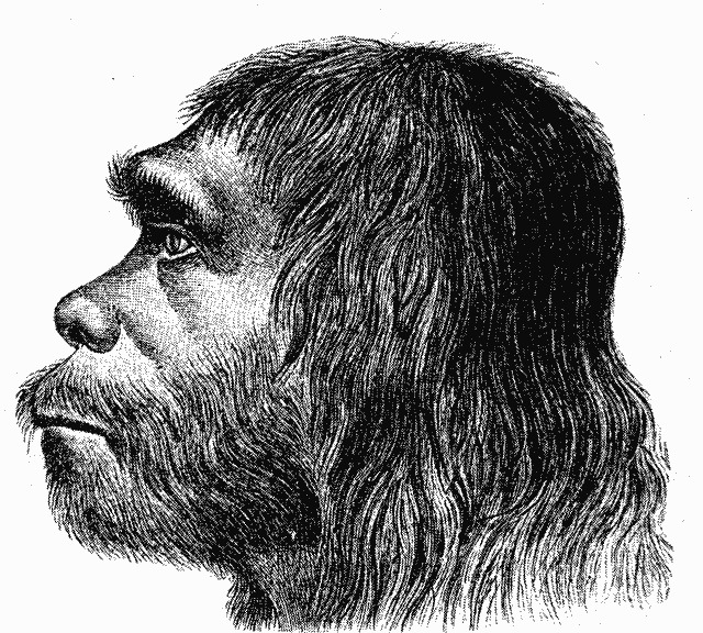 Neanderthaler Fund