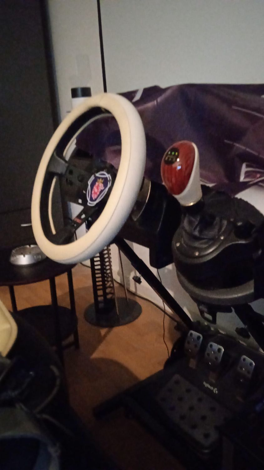 Logitech G27 Racing Wheel mit Euro Truck 2 + LS 22 Simulator