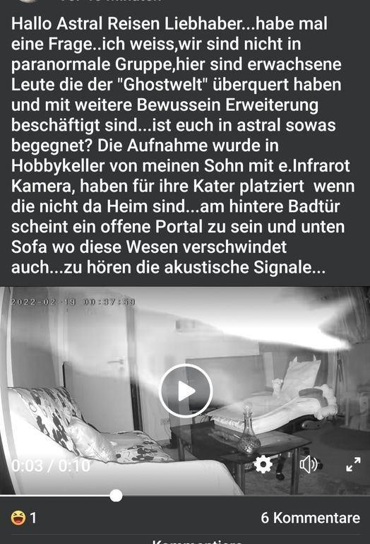 schwurblis hrt die Signale
