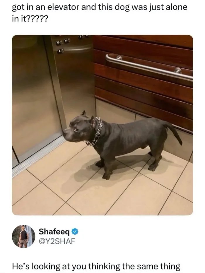1000032326