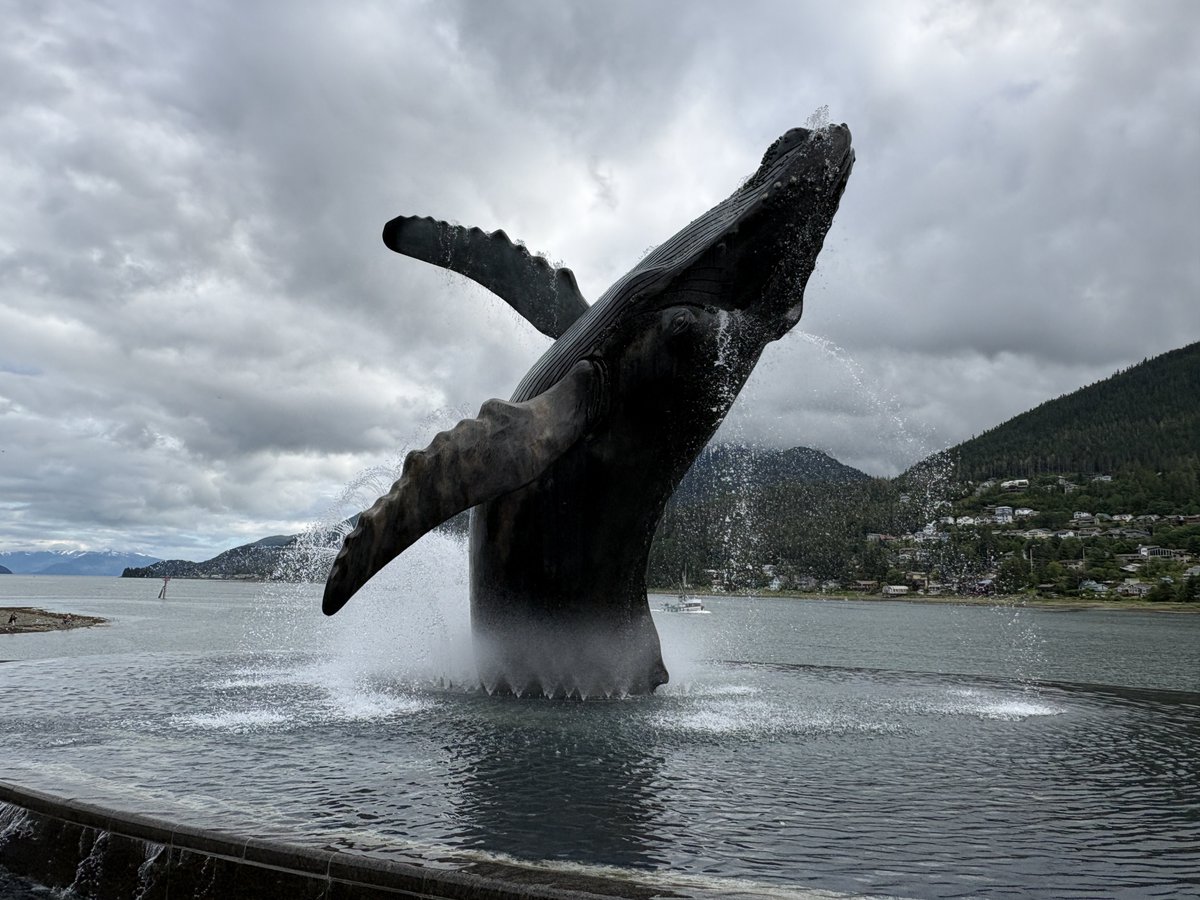 juneau ... wal - Copy