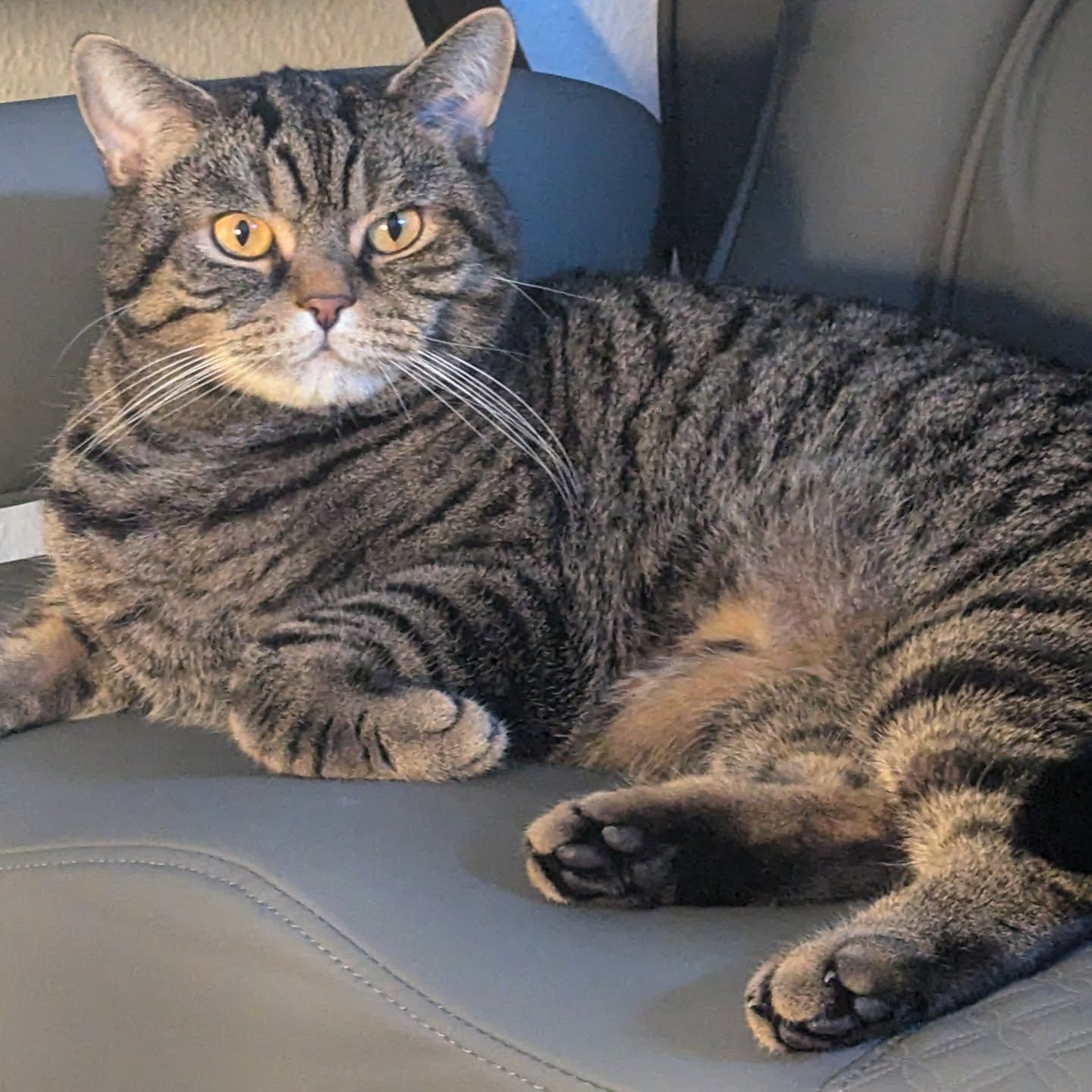 614918064 18445389235102346 232799108857