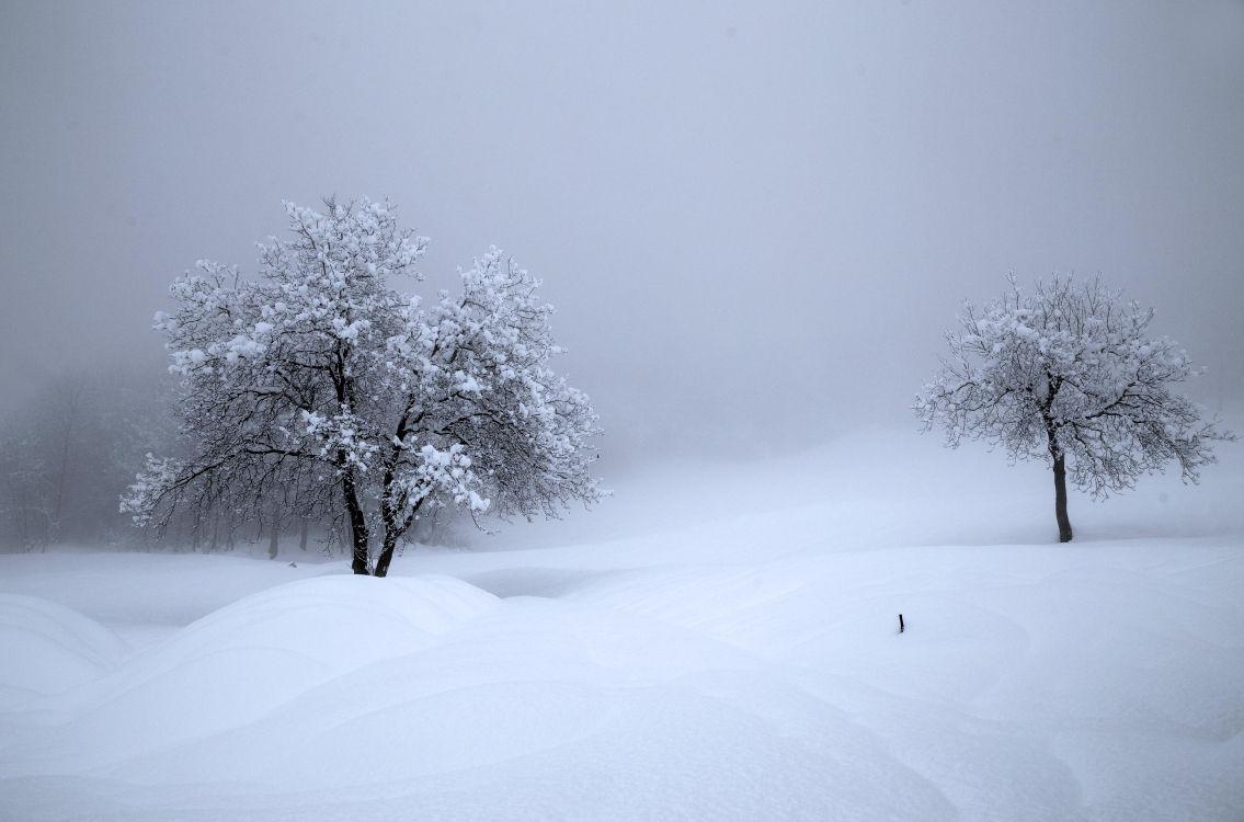 winterwald