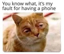 1000033498