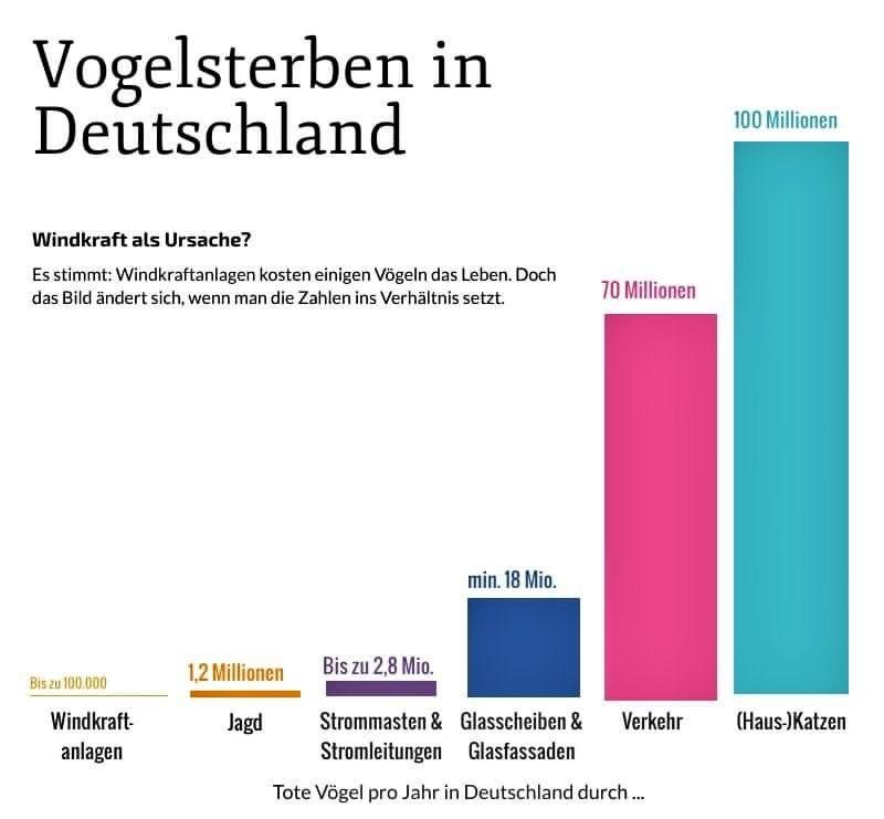 Vogelsterben in Deutschland Grafik - Cop