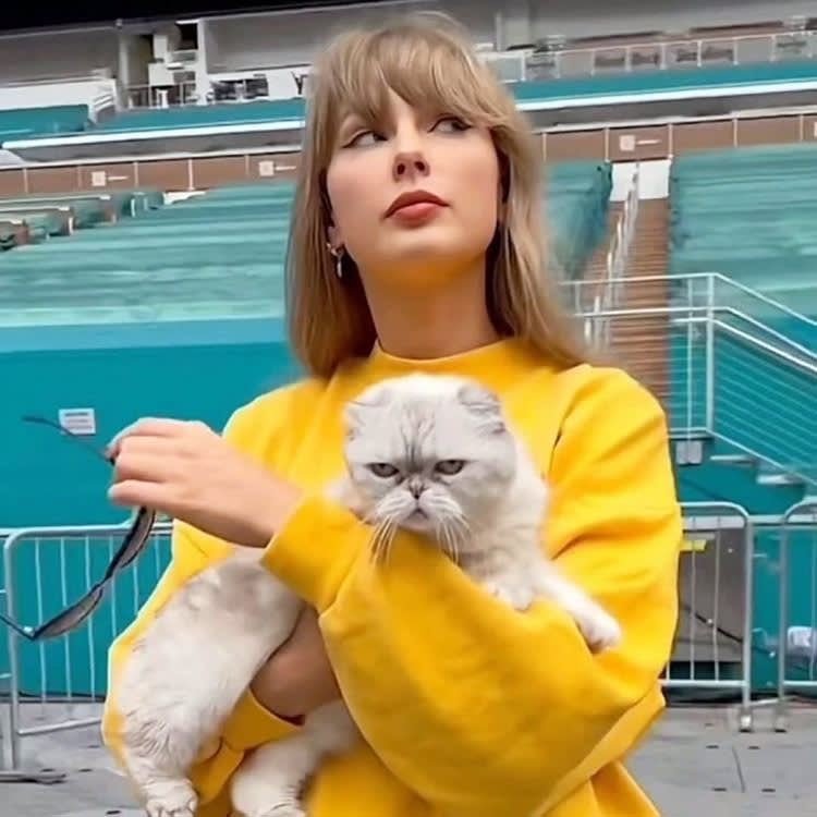 2025-08-14 taylor swift introduced cats