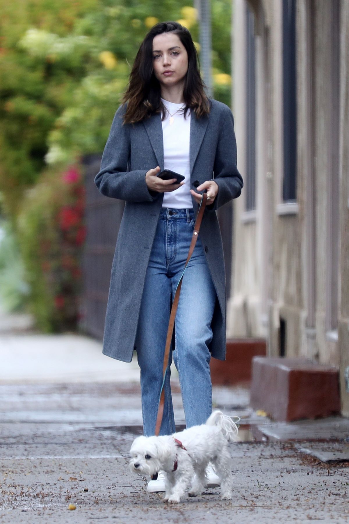 ana-de-armas-out-with-her-dog-in-los-ang