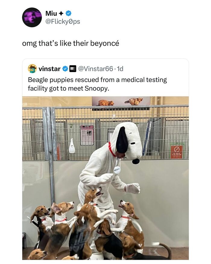 meme snoopy - Copy