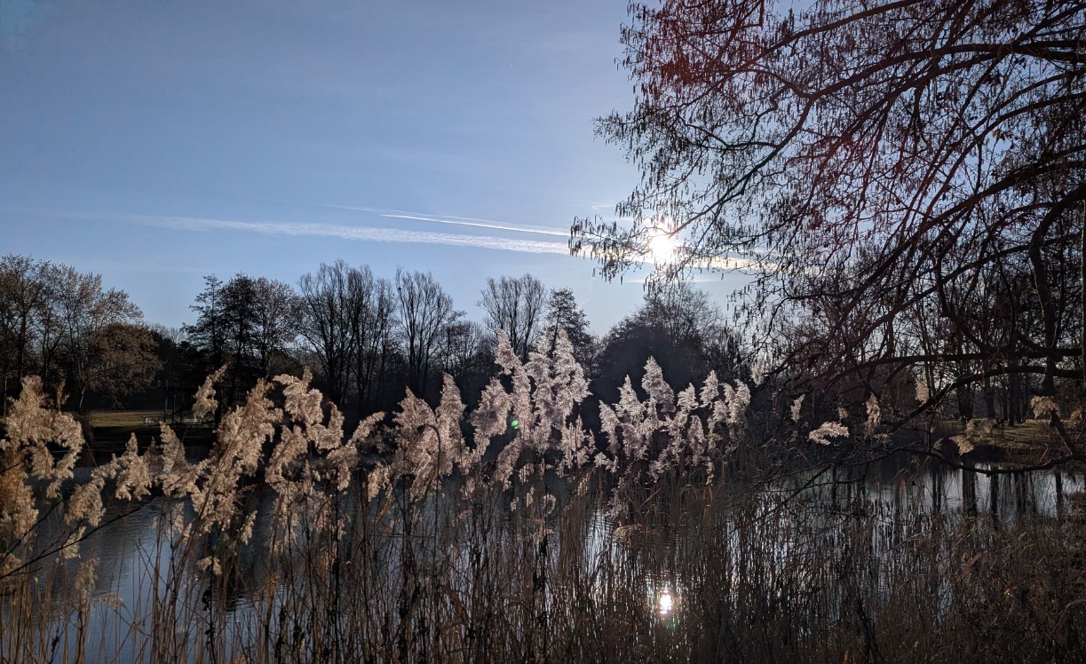 0f896d99-d7fa-44cd-aee7-9755868458b0 cop