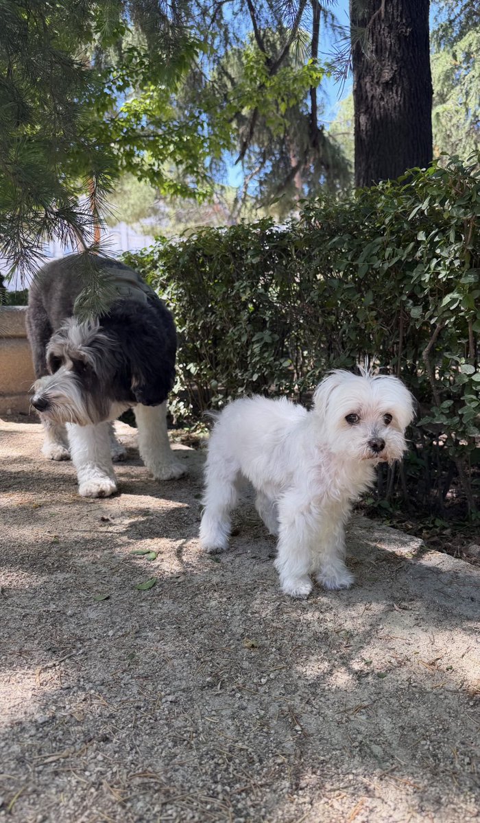Salsita e Elvis - Copy