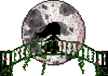 xx9z26cvko1