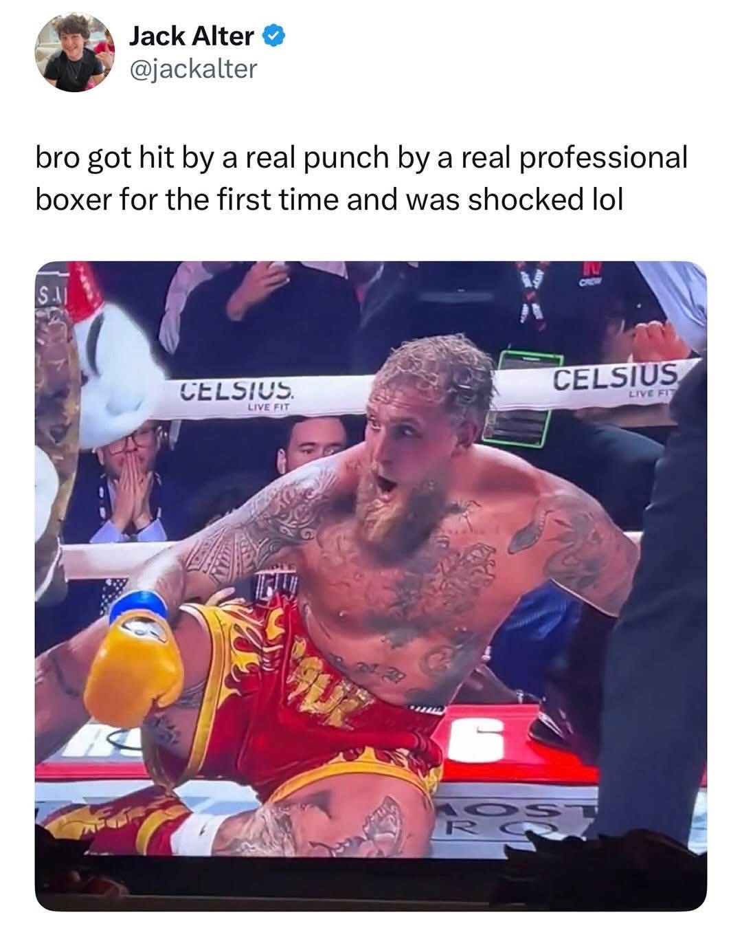 FB IMG 1766337425453