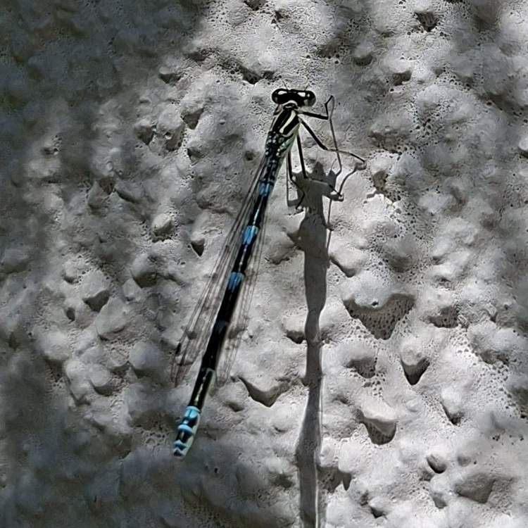 xx01