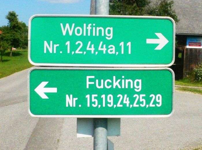 wolf fuck - Copy