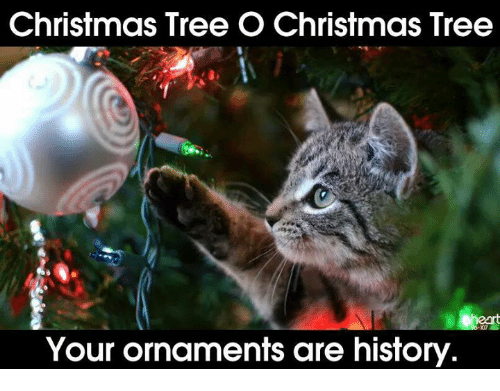 christmas-tree-o-christmas-tree-your-orn
