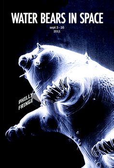 tardigrade