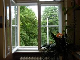 Fenster1