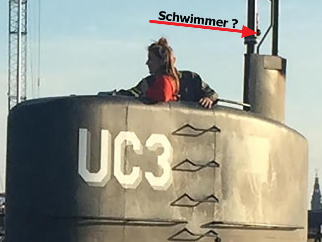 schwimmer madsen kim