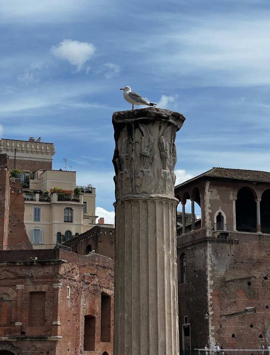 mercati di tra - Copy