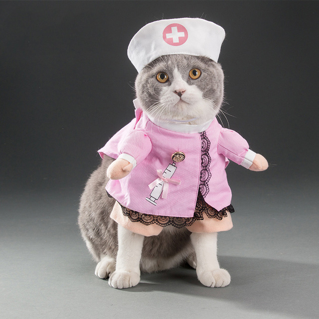 Funny-Pet-Kost-me-Katze-Hund-Krankenschw