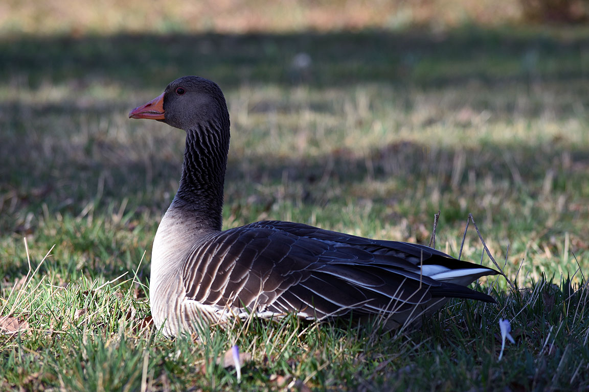 eaff8c87-7730-4c2b-9b6b-d4e54fa9f5c5