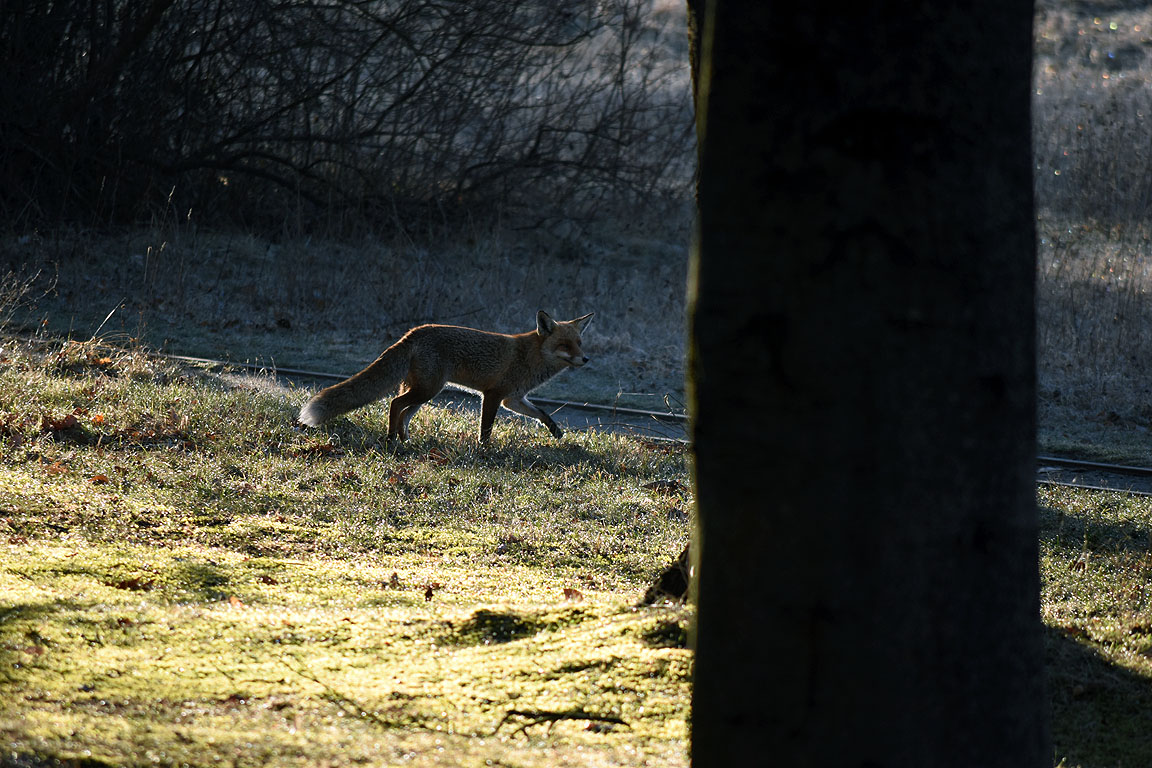 e9f3fc59-43d8-4ab8-9e2f-df930ebbd4b5