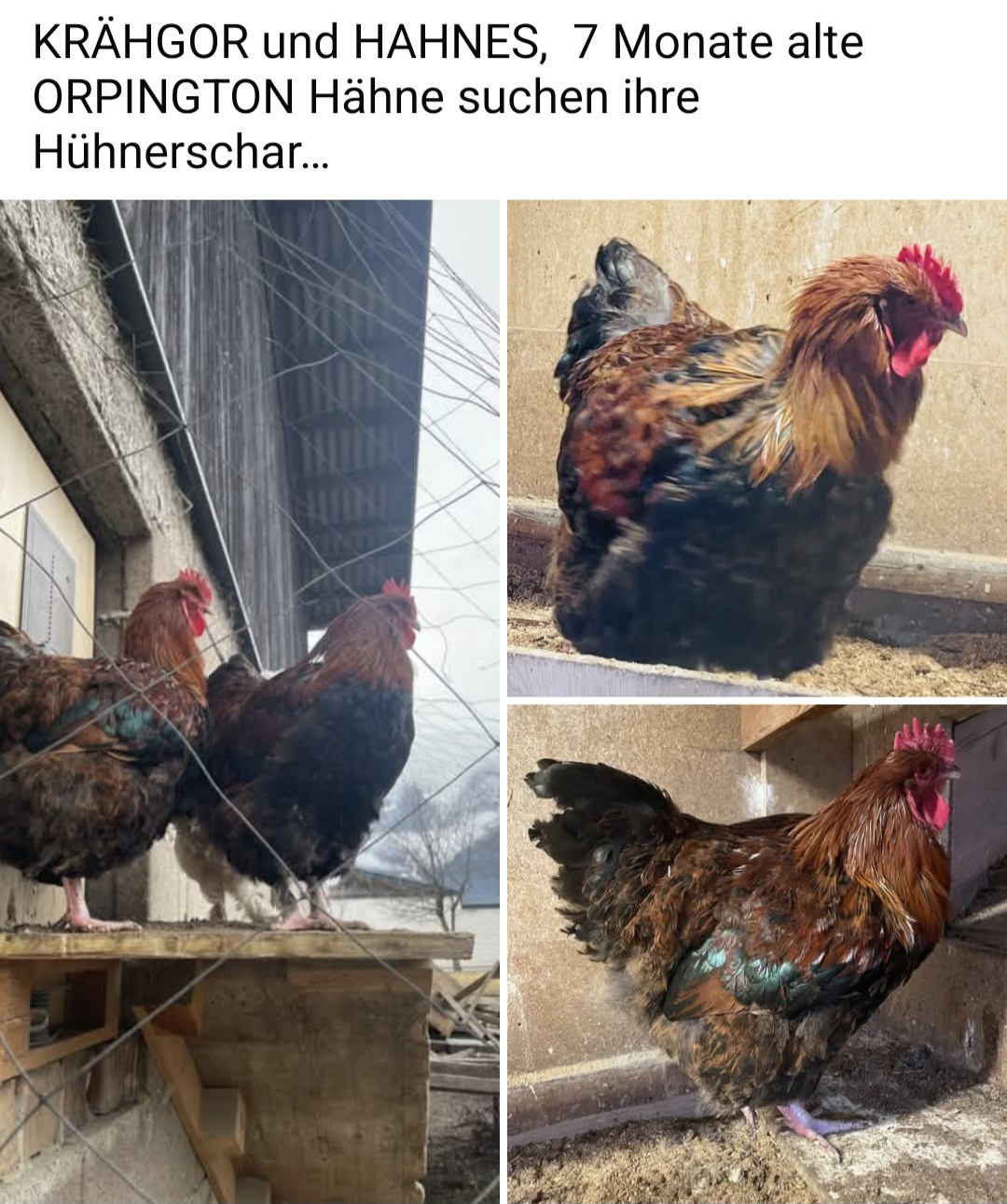 Screenshot 20251220 205747 Facebook