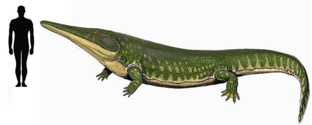 Prionosuchus
