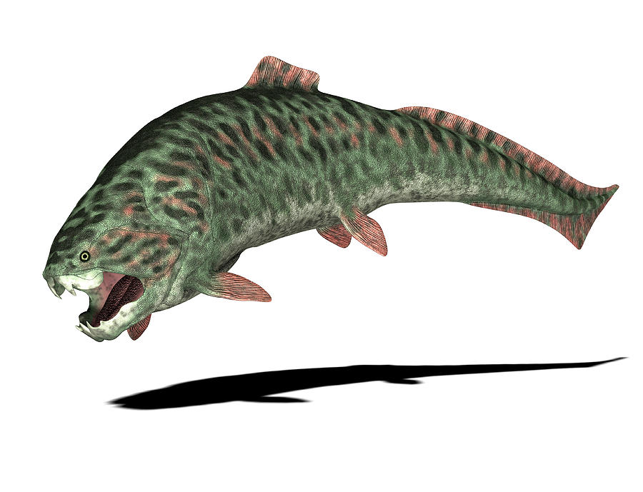 1-dunkleosteus-prehistoric-fish-friedric