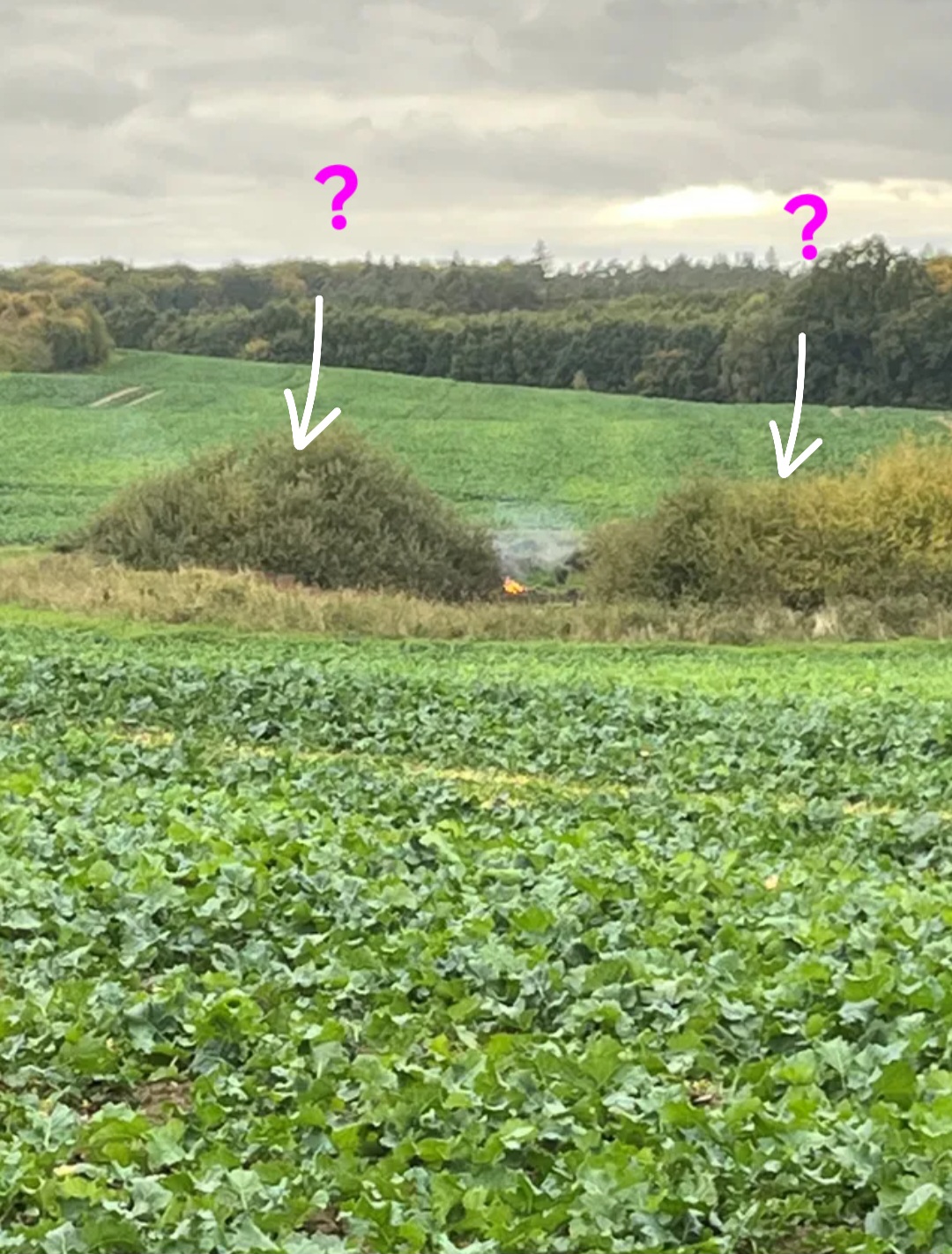 Screenshot 20251117 163417 Allmystery