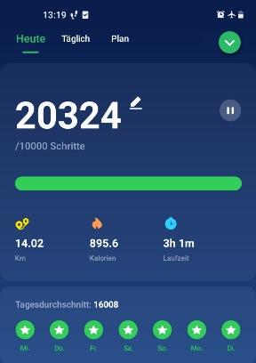 Screenshot 20211026-131952 Pedometer Ste