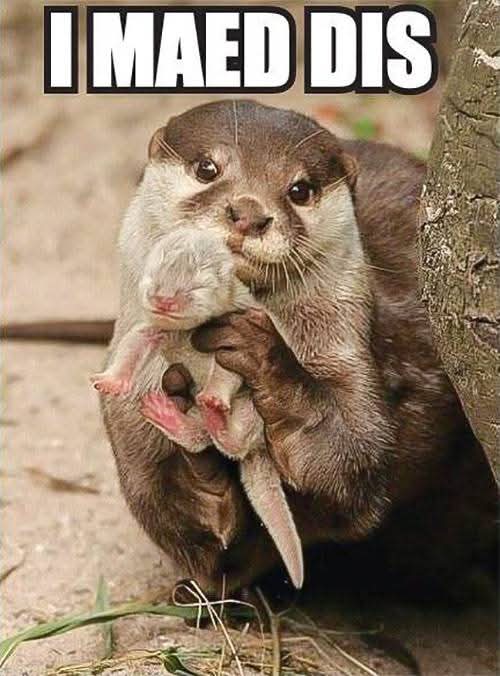 otter hurra - Copy
