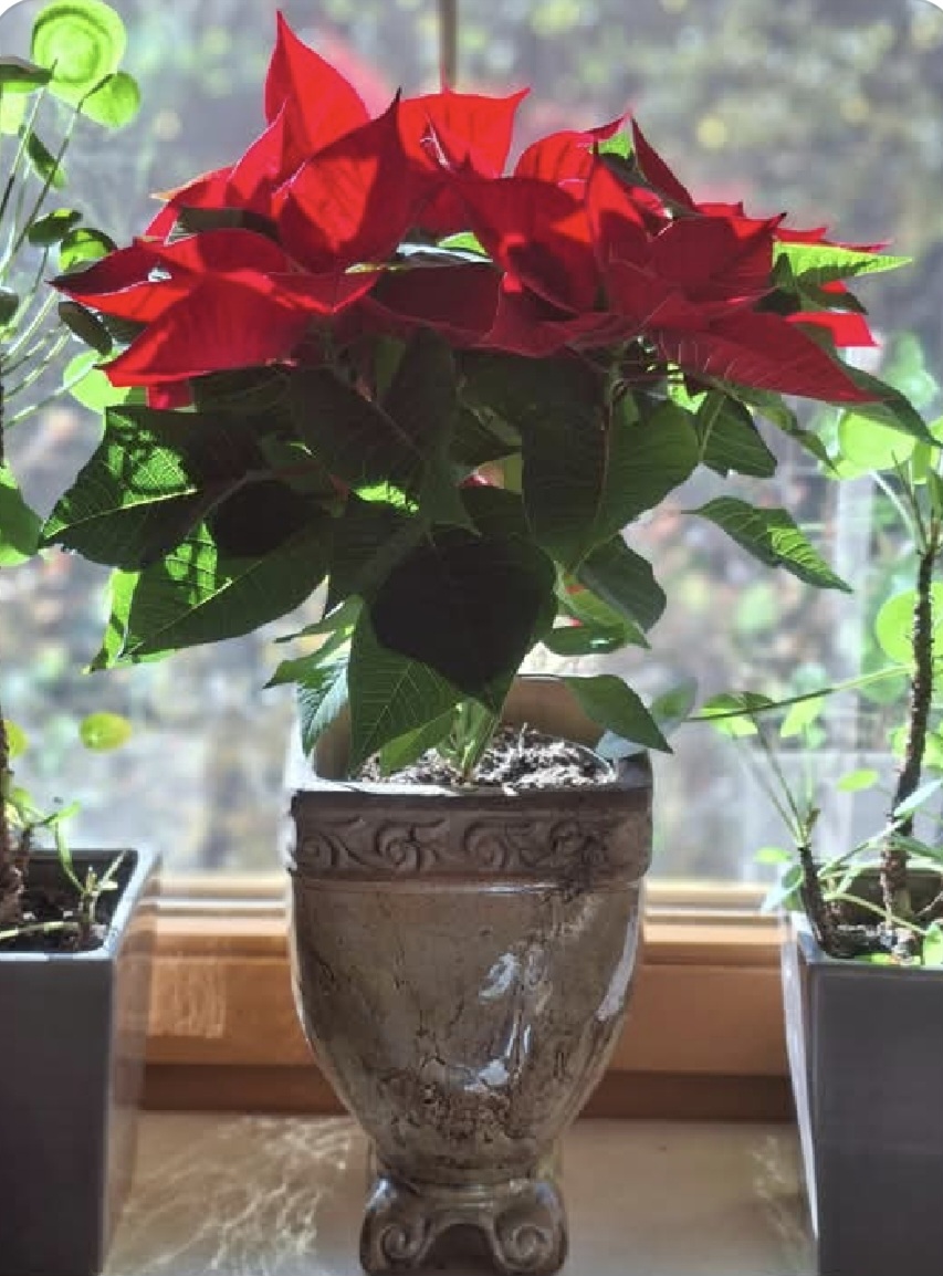 Screenshot 20251123 174824 Gallery