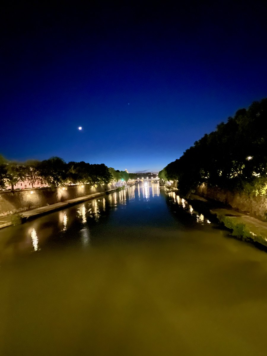 Lora blu sul Tevere - Copy