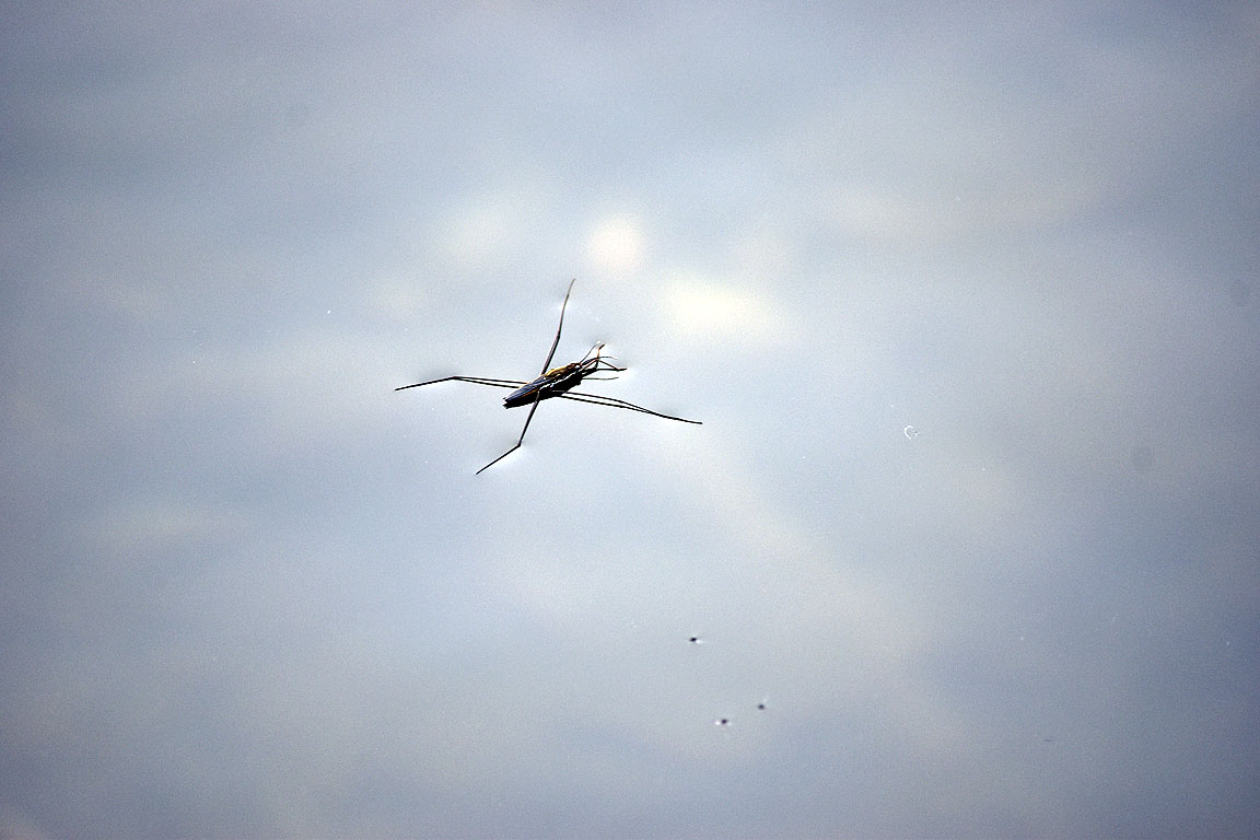 37f1d6ec-d01f-42aa-8d73-fd441a5a6470