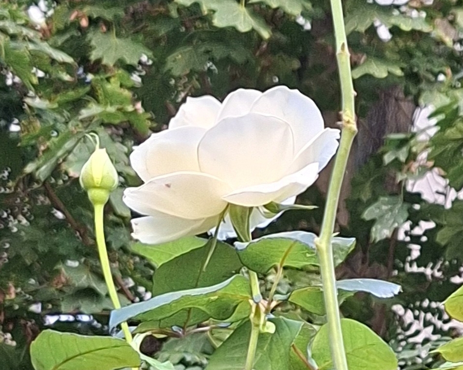 xx01