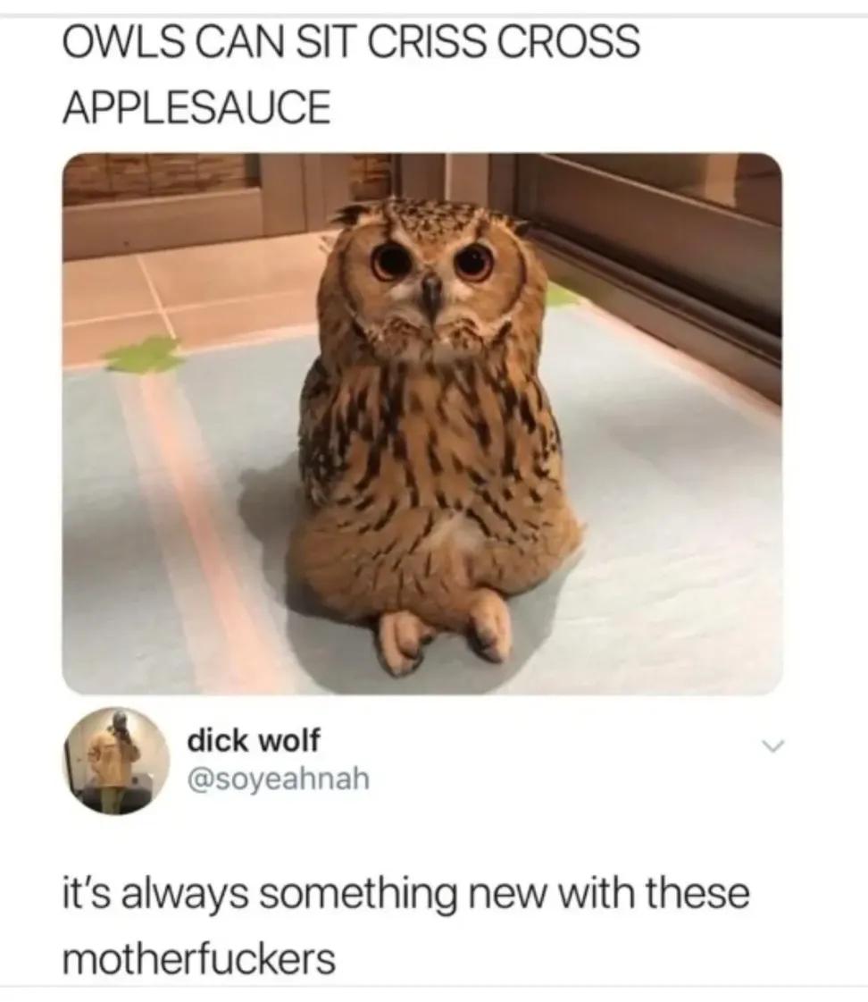 IMG 20260323 225857 499