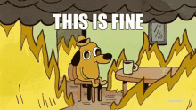 this-is