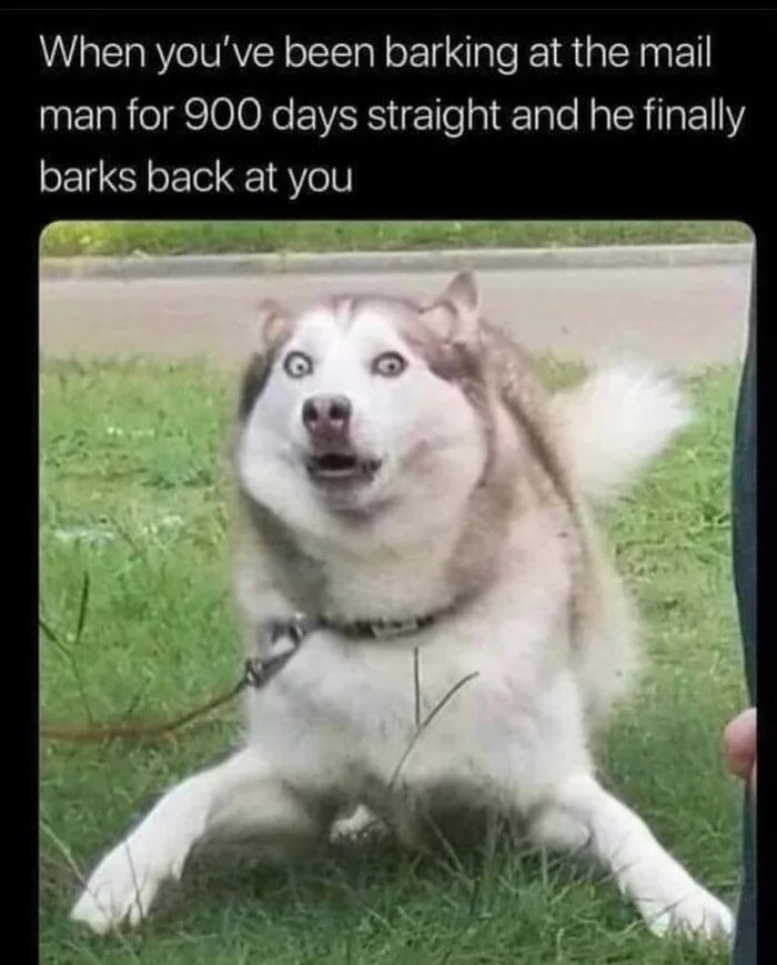 1000014628