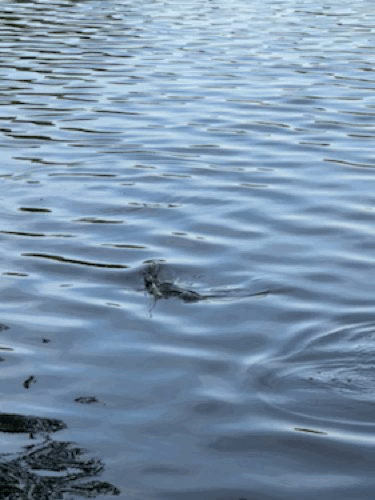 IMG 7840