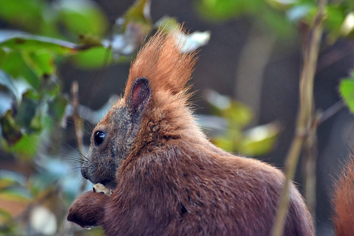 fdce6473-1c36-41b1-acc9-3a13dd96ccb3