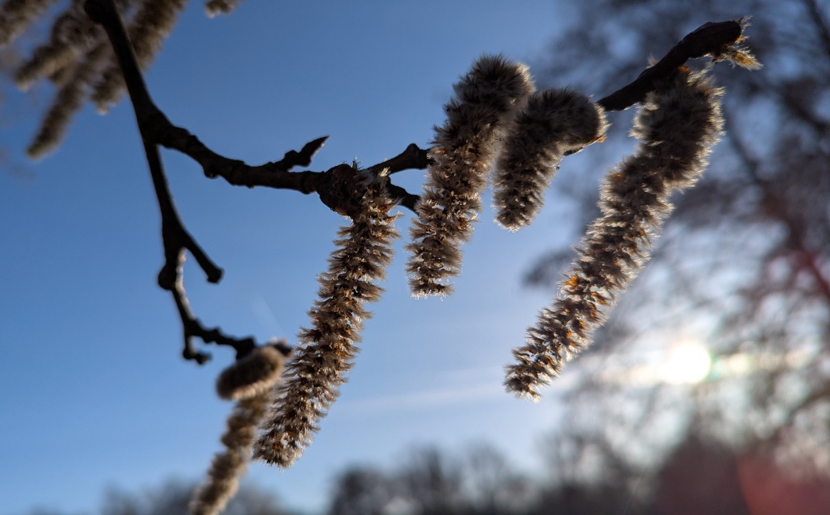 3e6b3dd3-b8c2-4ea7-8e17-d755a7c5c170 cop